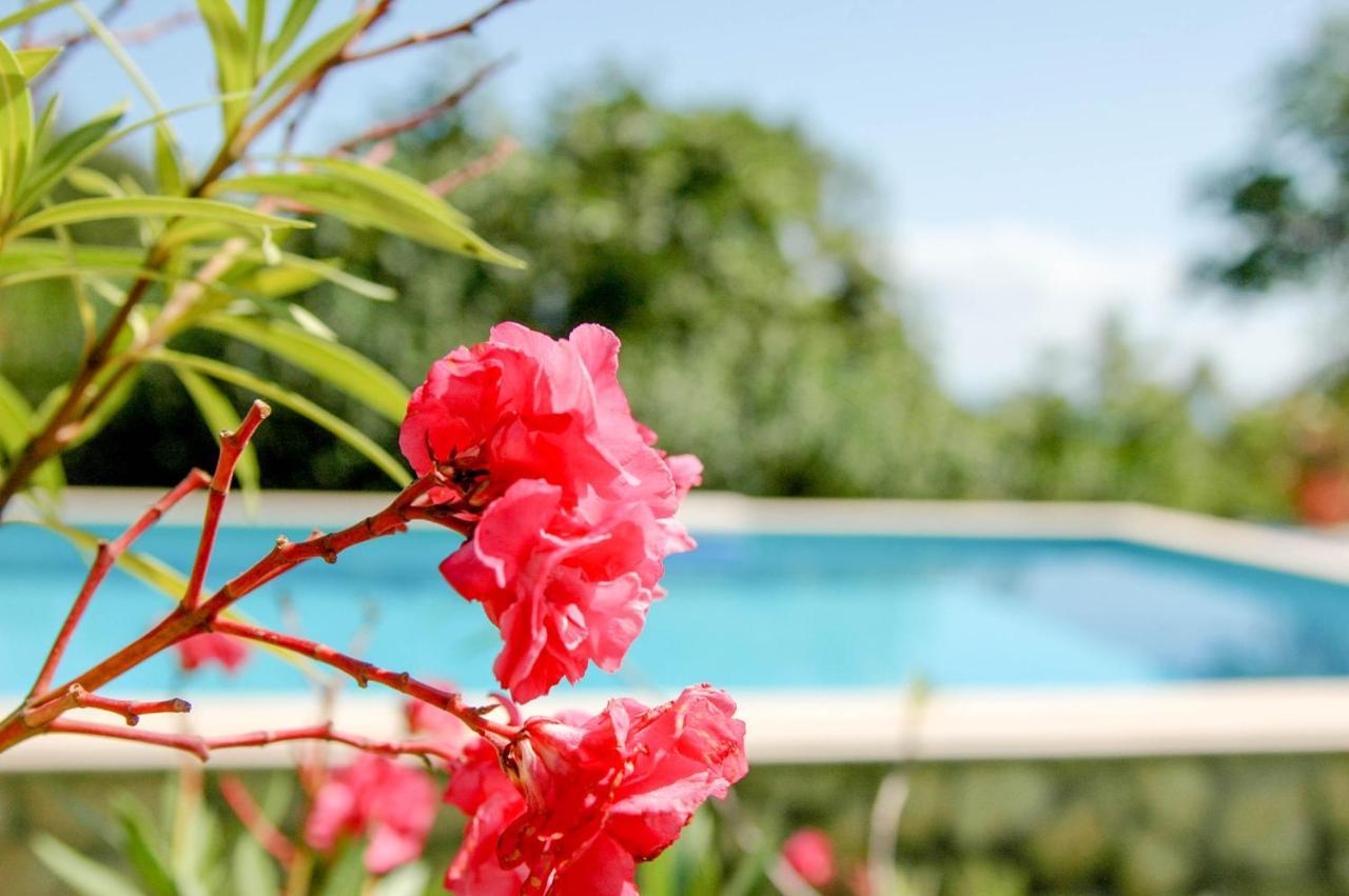 Villa Regina Serafina Balchik Luaran gambar